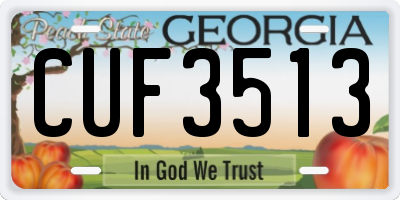 GA license plate CUF3513