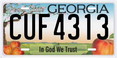 GA license plate CUF4313