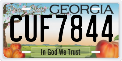 GA license plate CUF7844