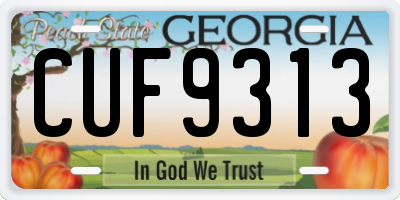 GA license plate CUF9313