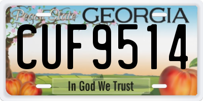 GA license plate CUF9514
