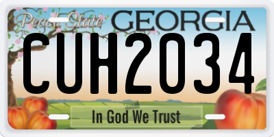 GA license plate CUH2034