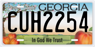 GA license plate CUH2254
