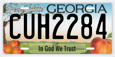 GA license plate CUH2284