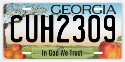 GA license plate CUH2309