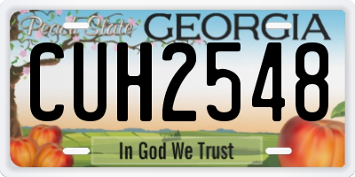 GA license plate CUH2548