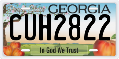 GA license plate CUH2822