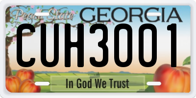 GA license plate CUH3001