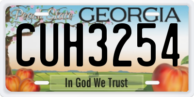 GA license plate CUH3254