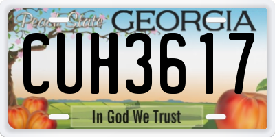 GA license plate CUH3617