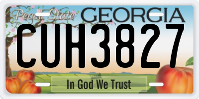GA license plate CUH3827
