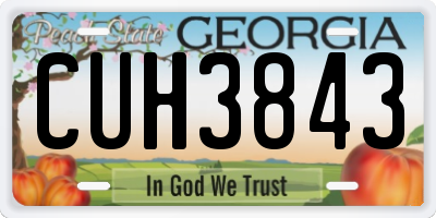 GA license plate CUH3843