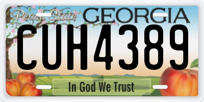 GA license plate CUH4389