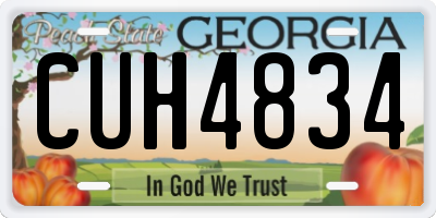 GA license plate CUH4834