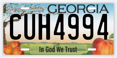 GA license plate CUH4994