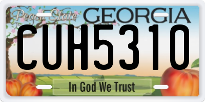 GA license plate CUH5310