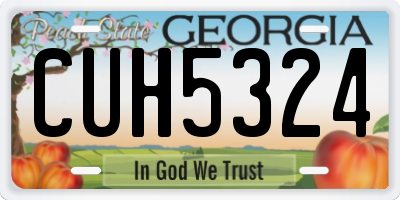 GA license plate CUH5324