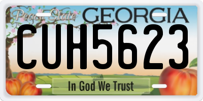 GA license plate CUH5623