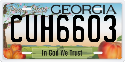 GA license plate CUH6603