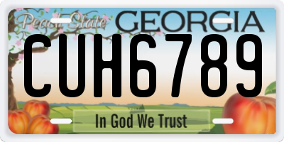 GA license plate CUH6789