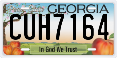GA license plate CUH7164