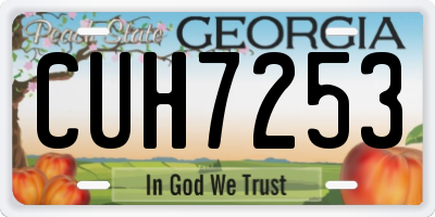 GA license plate CUH7253