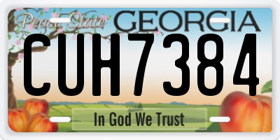 GA license plate CUH7384