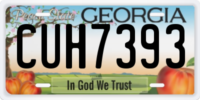 GA license plate CUH7393