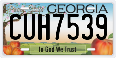 GA license plate CUH7539