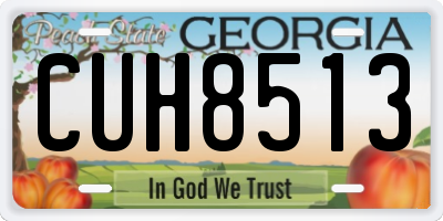 GA license plate CUH8513