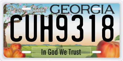 GA license plate CUH9318