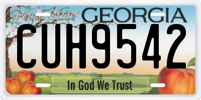 GA license plate CUH9542