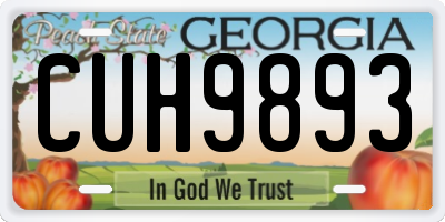 GA license plate CUH9893