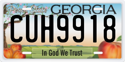 GA license plate CUH9918