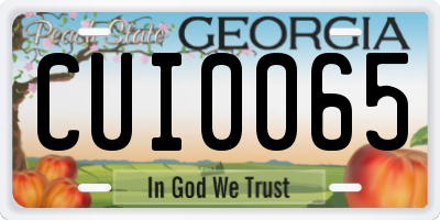 GA license plate CUI0065