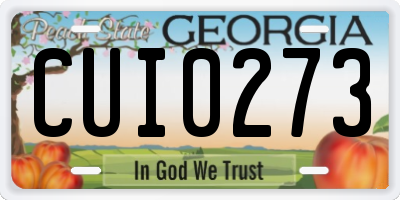 GA license plate CUI0273