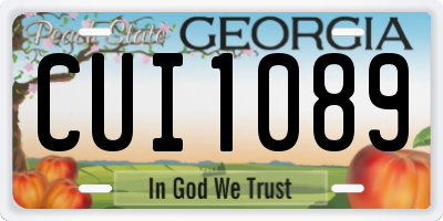 GA license plate CUI1089