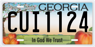 GA license plate CUI1124