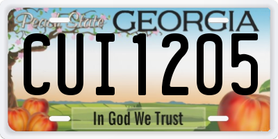 GA license plate CUI1205