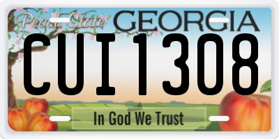 GA license plate CUI1308