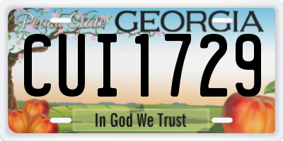 GA license plate CUI1729