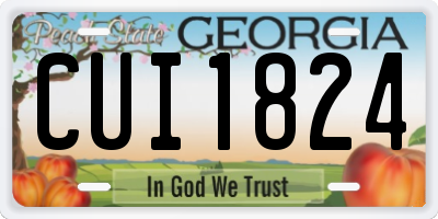 GA license plate CUI1824