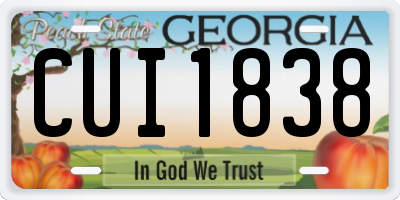 GA license plate CUI1838