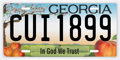 GA license plate CUI1899