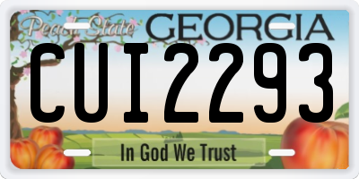 GA license plate CUI2293