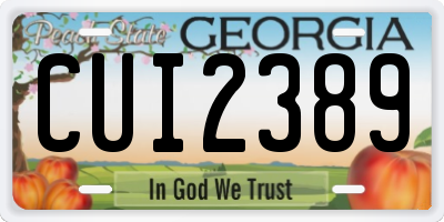 GA license plate CUI2389