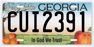 GA license plate CUI2391