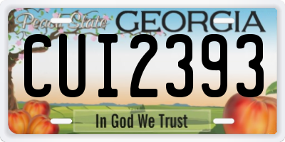 GA license plate CUI2393