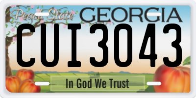GA license plate CUI3043