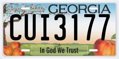 GA license plate CUI3177